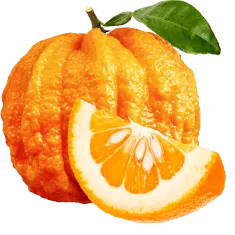 Gorzkie <br/> pomarańcze